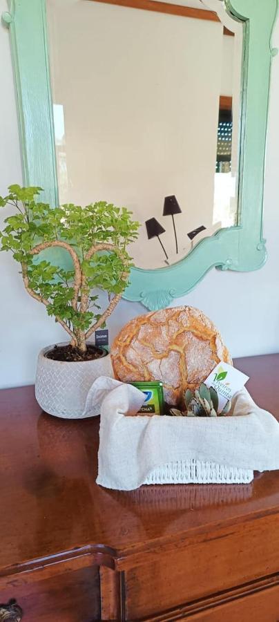 Big Fish 1 - Charming Beach Apartment Praia de Mira Exterior photo